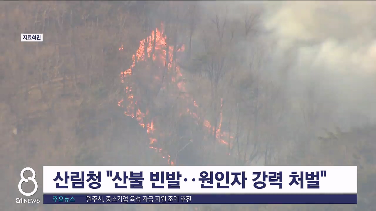 산림청 "산불 빈발..원인자 강력 처벌"